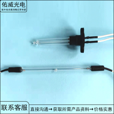 254nm 2with vous U formez le sac UV-C de désinfection de lampe de lumière UV de tube cathode à froid